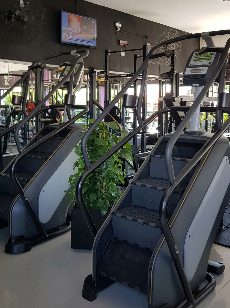 Escadas ergométricas Matrix na HJ Fitness